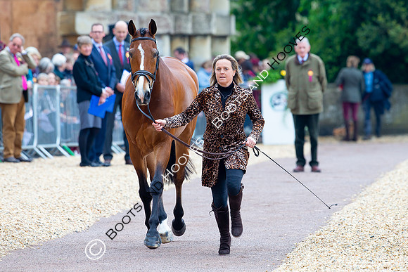 Horse Trials