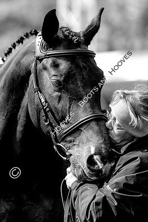 Horse Trials