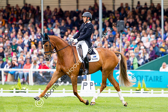 Horse Trials