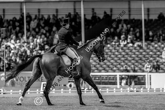 Horse Trials