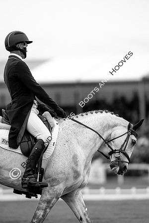 Horse Trials