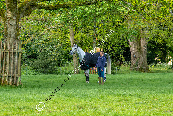 Horse Trials
