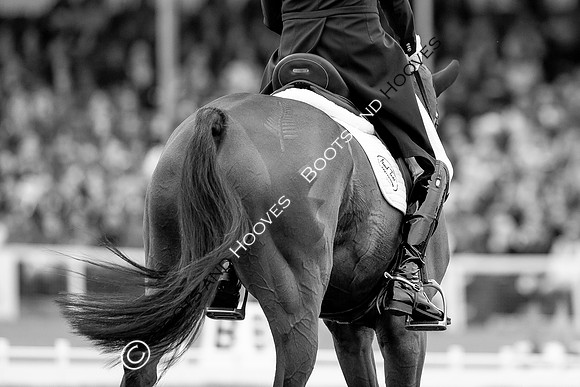 Horse Trials
