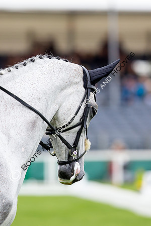Horse Trials