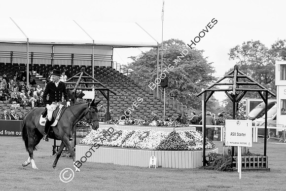 Horse Trials
