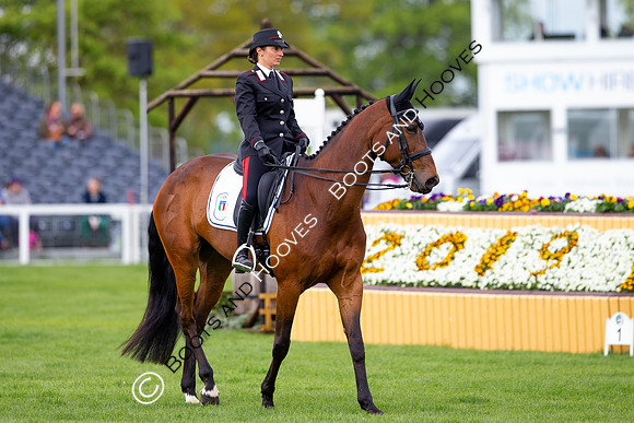 Horse Trials