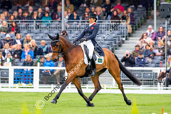 Horse Trials