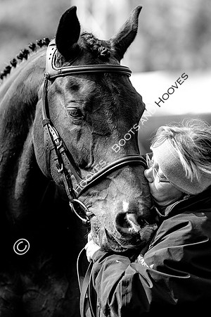 Horse Trials