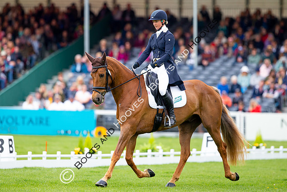 Horse Trials