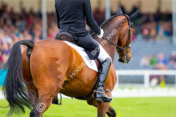 Horse Trials