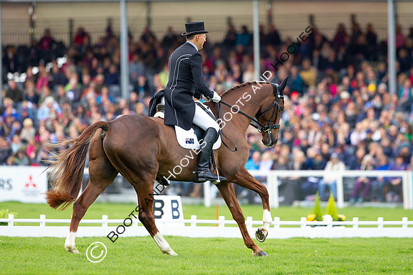 Horse Trials