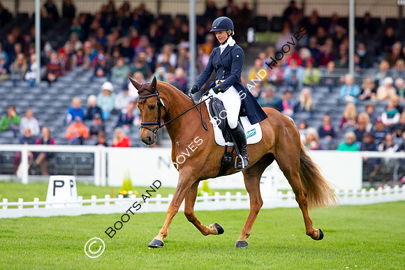 Horse Trials