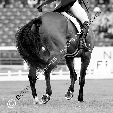 Horse Trials