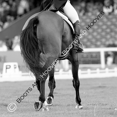 Horse Trials