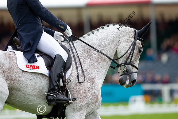 Horse Trials
