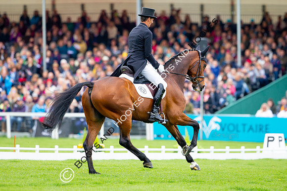 Horse Trials