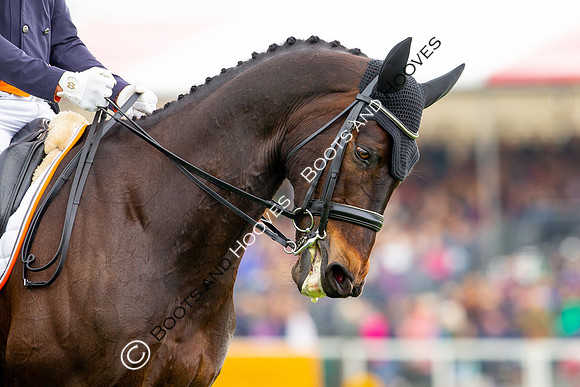 Horse Trials