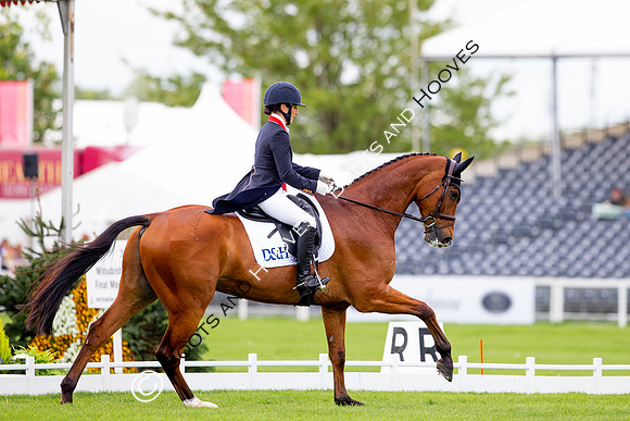 Horse Trials