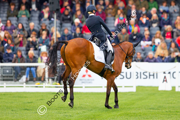 Horse Trials
