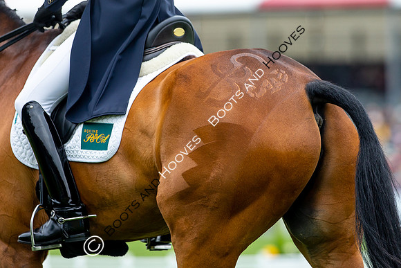 Horse Trials
