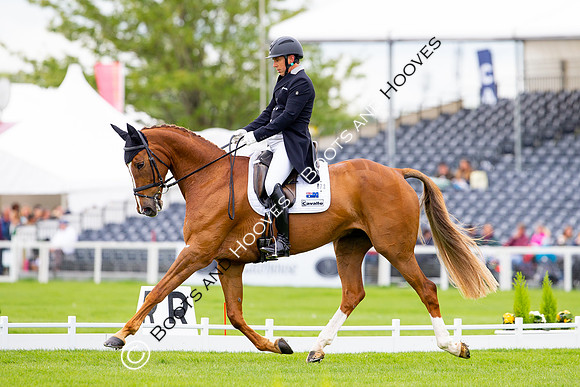 Horse Trials