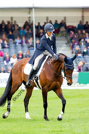 Horse Trials