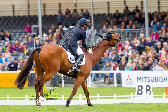 Horse Trials