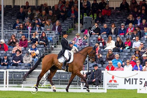 Horse Trials