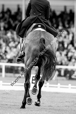 Horse Trials