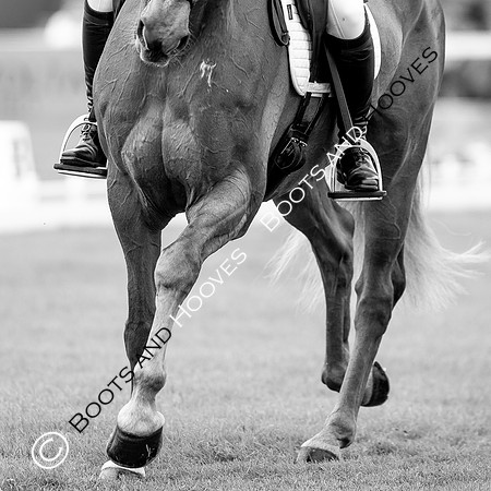 Horse Trials