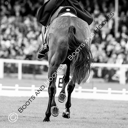 Horse Trials