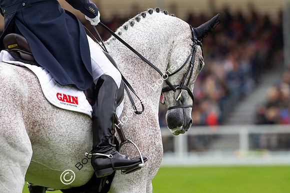 Horse Trials