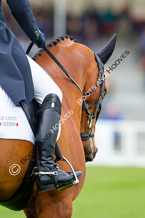 Horse Trials