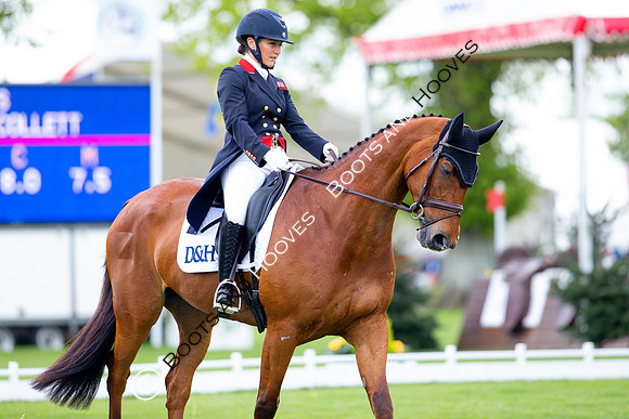 Horse Trials