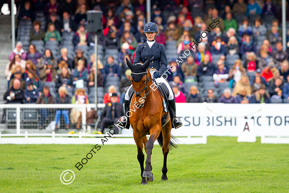 Horse Trials