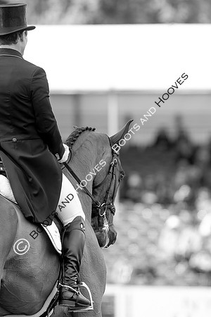 Horse Trials
