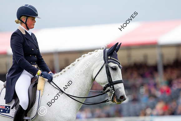 Horse Trials