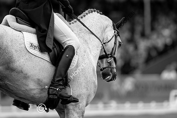 Horse Trials