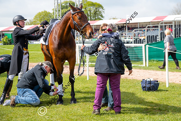 Horse Trials