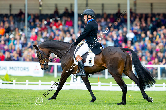 Horse Trials