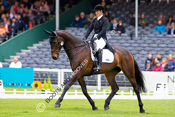 Horse Trials