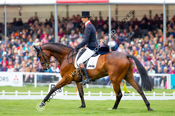 Horse Trials