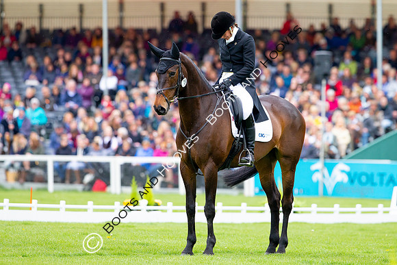 Horse Trials
