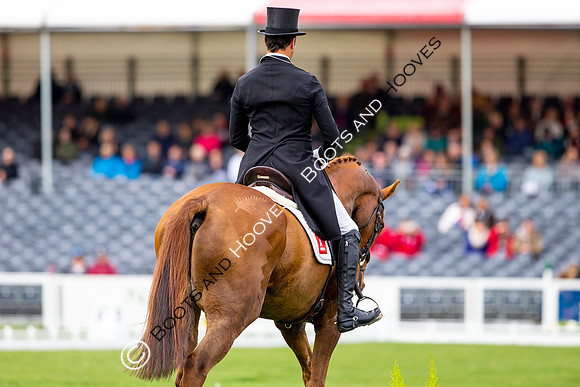 Horse Trials