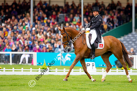 Horse Trials