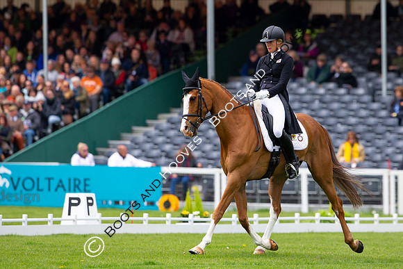 Horse Trials