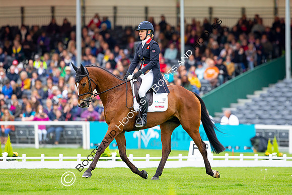 Horse Trials