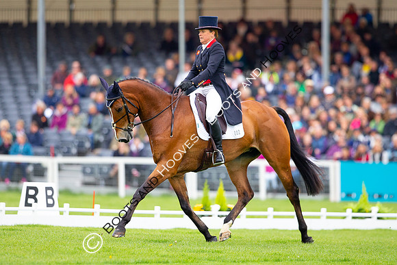 Horse Trials