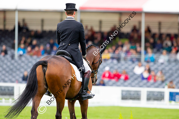 Horse Trials