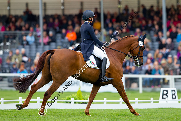 Horse Trials
